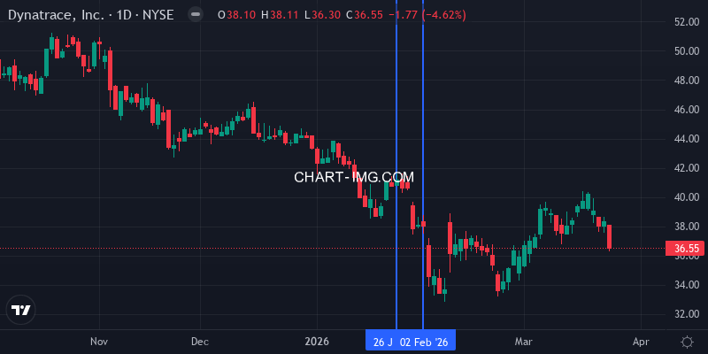 Dicks Sporting Goods stock - new position